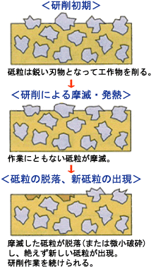 研削初期 研削による摩滅・発熱 砥粒の脱落、新砥粒の出現